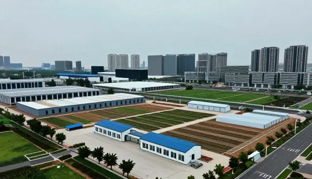 信息化建设中账号防护策略的实用指南